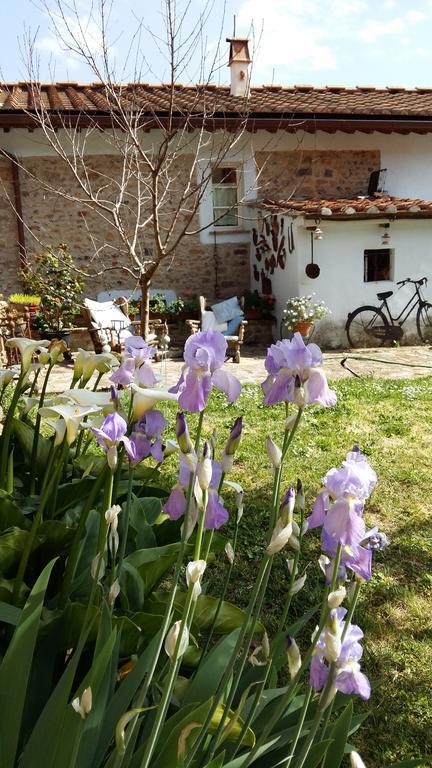 Il Colle Calci Villa Dış mekan fotoğraf