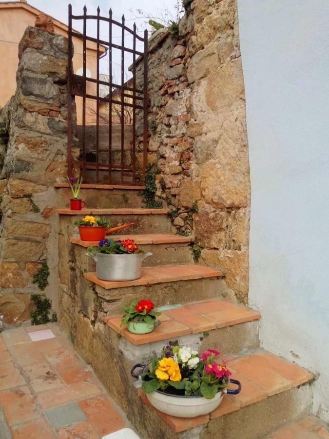 Il Colle Calci Villa Dış mekan fotoğraf